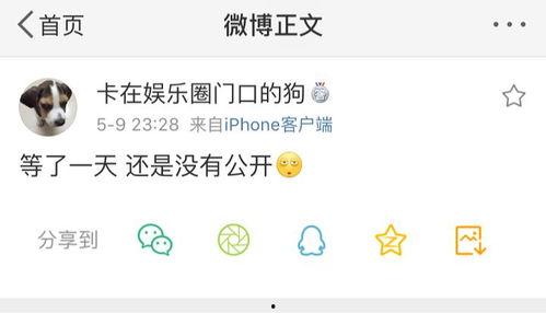 最新吃瓜网站爆料密码,最新吃瓜网站爆料密码大曝光！